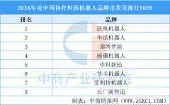 2024年度中国协做焊接机械人品牌出货量排